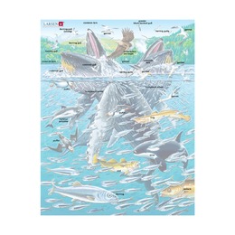 Горбатые киты в стае сельди, 140 деталей