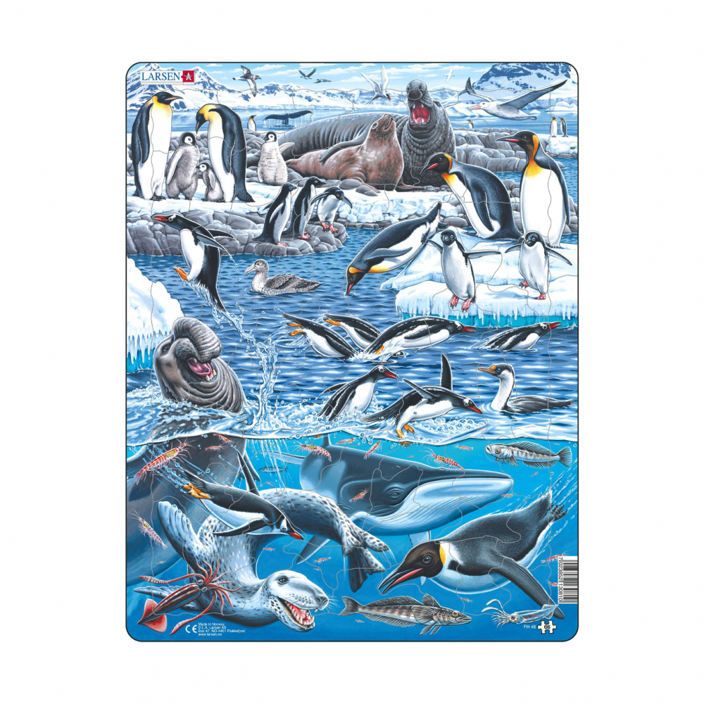 Животный мир Антарктики, 66 деталей FH48 от Larsen за 939 руб. Купить на  larsenshop.ru