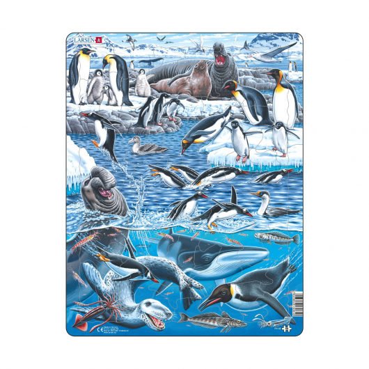 Животный мир Антарктики, 66 деталей